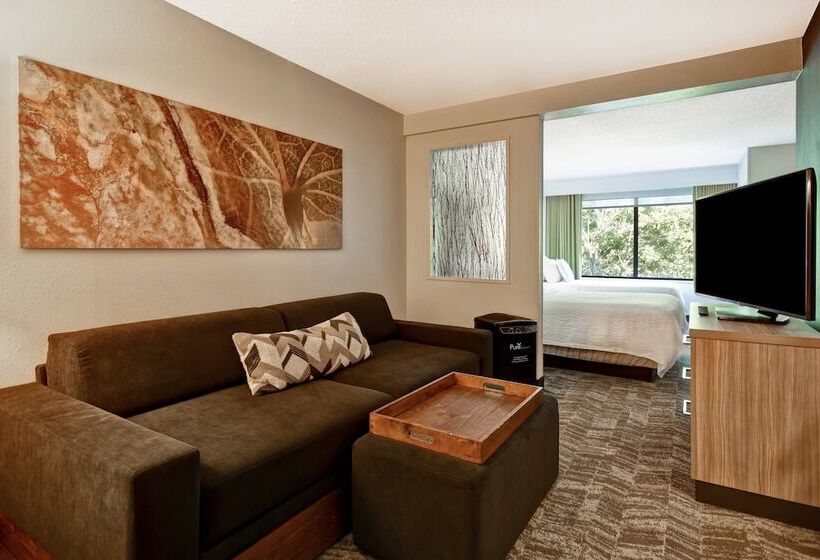 בית מלון כפרי Springhill Suites By Marriott Atlanta Kennesaw