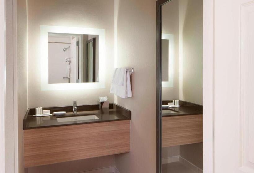 בית מלון כפרי Springhill Suites By Marriott Atlanta Kennesaw