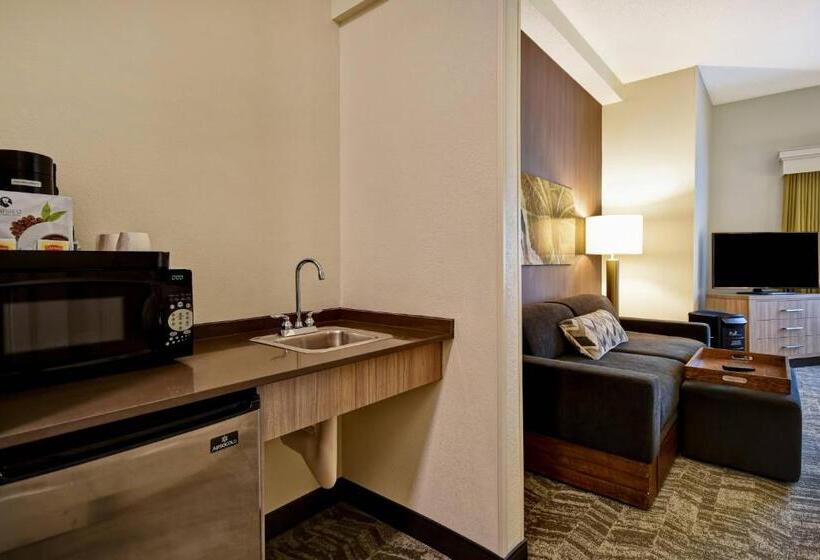 בית מלון כפרי Springhill Suites By Marriott Atlanta Kennesaw