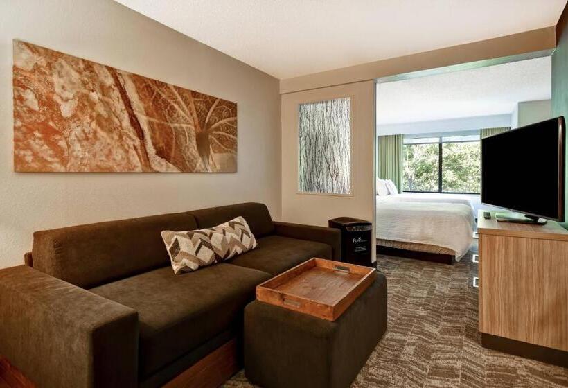 בית מלון כפרי Springhill Suites By Marriott Atlanta Kennesaw