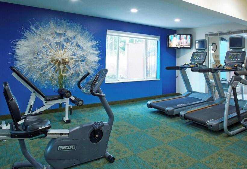 فندق Springhill Suites By Marriott Atlanta Six Flags