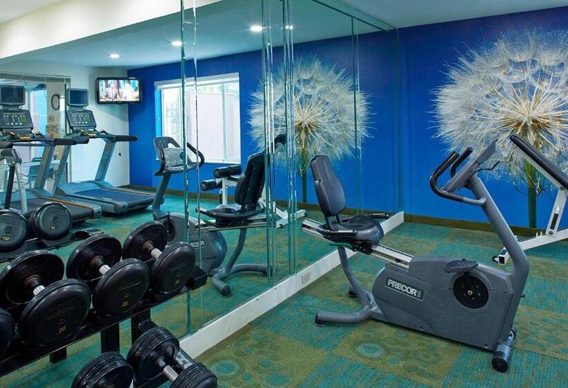 فندق Springhill Suites By Marriott Atlanta Six Flags