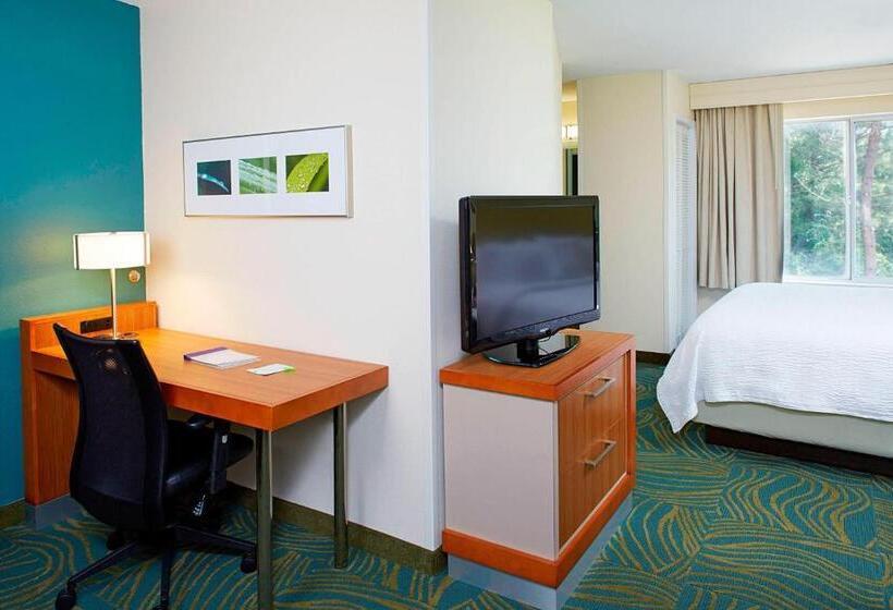 فندق Springhill Suites By Marriott Atlanta Six Flags