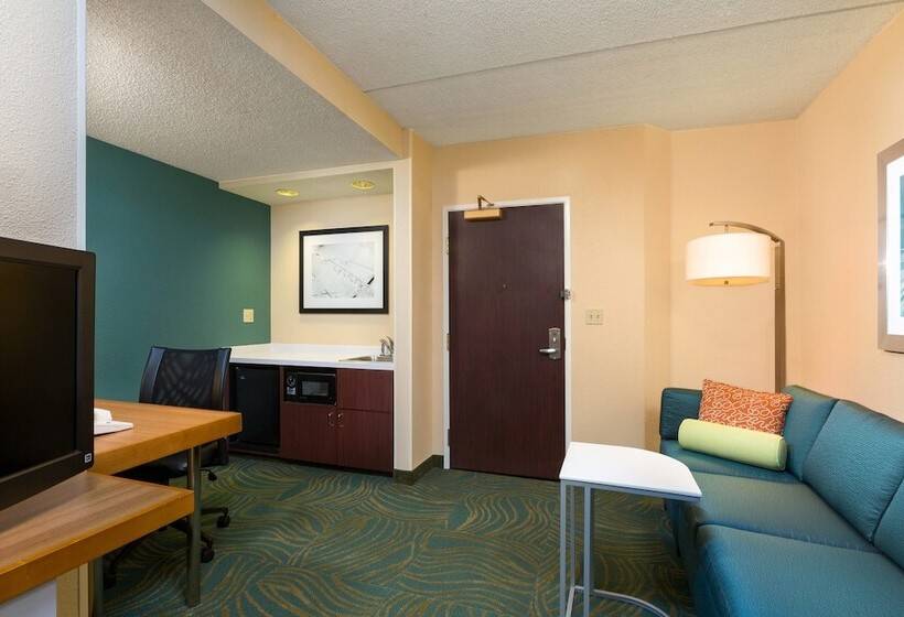 בית מלון כפרי Springhill Suites Austin South