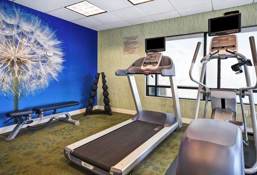 酒店 Springhill Suites By Marriott Baltimore Bwi Airport