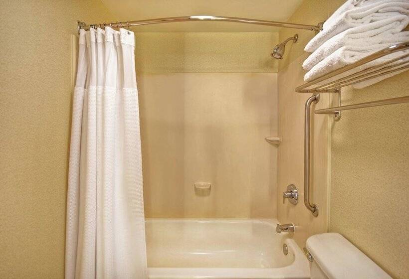 ホテル Springhill Suites By Marriott Baltimore Bwi Airport