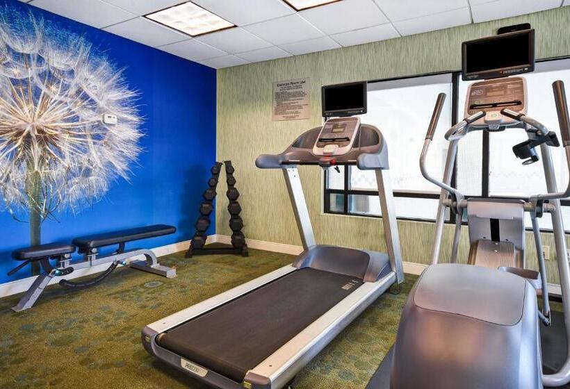 ホテル Springhill Suites By Marriott Baltimore Bwi Airport