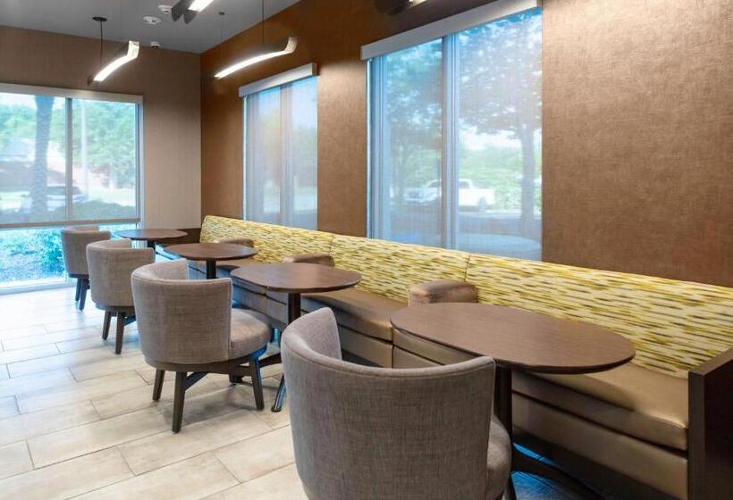 هتل Springhill Suites By Marriott Baton Rouge South