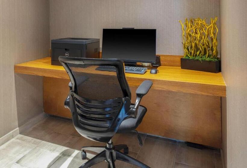 هتل Springhill Suites By Marriott Baton Rouge South