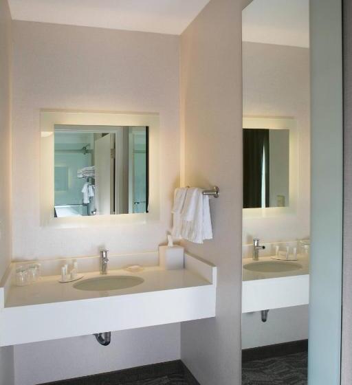 Отель Springhill Suites By Marriott Billings