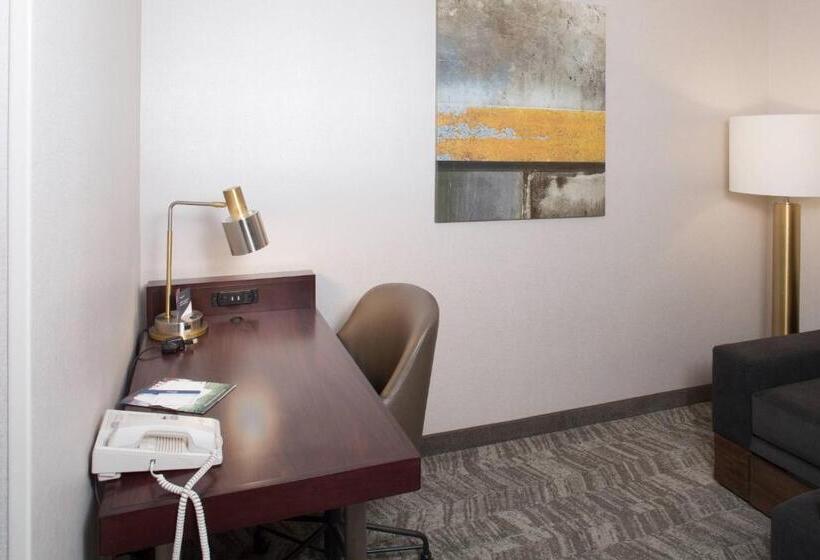 Отель Springhill Suites By Marriott Billings