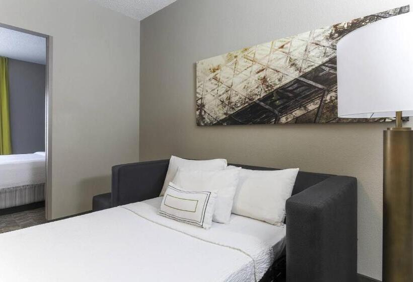 Otel Springhill Suites By Marriott Austin Parmer/tech Ridge