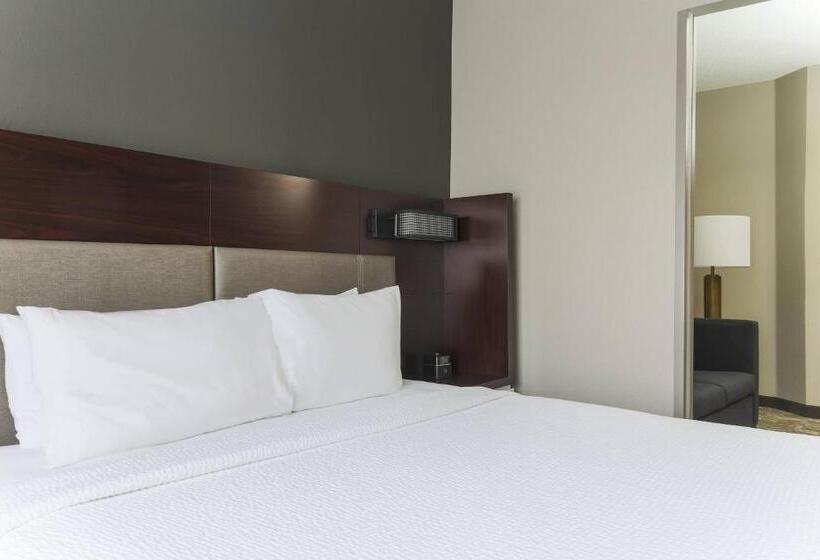 Otel Springhill Suites By Marriott Austin Parmer/tech Ridge