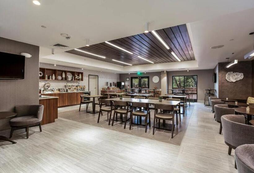 ホテル Springhill Suites By Marriott Austin The Domain Area