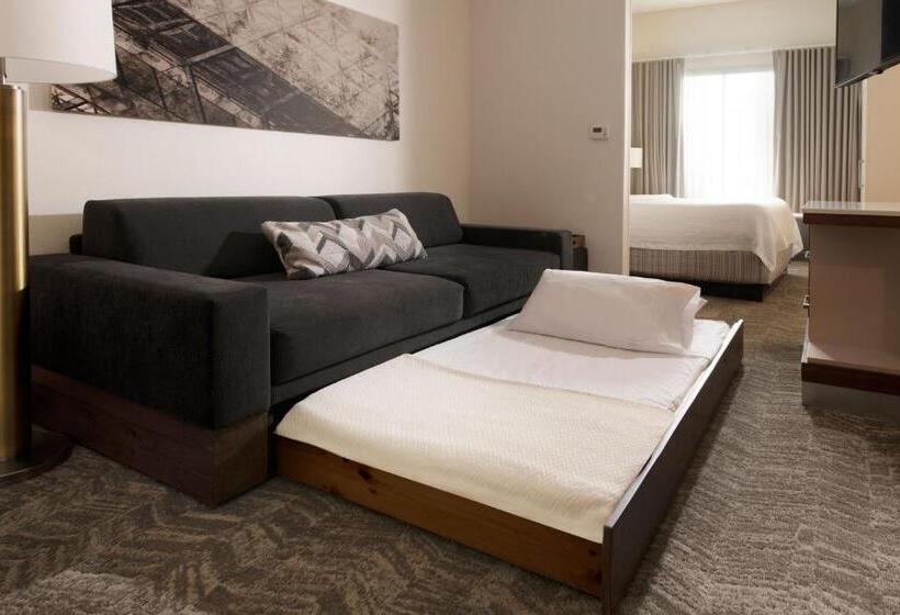 ホテル Springhill Suites By Marriott Austin The Domain Area