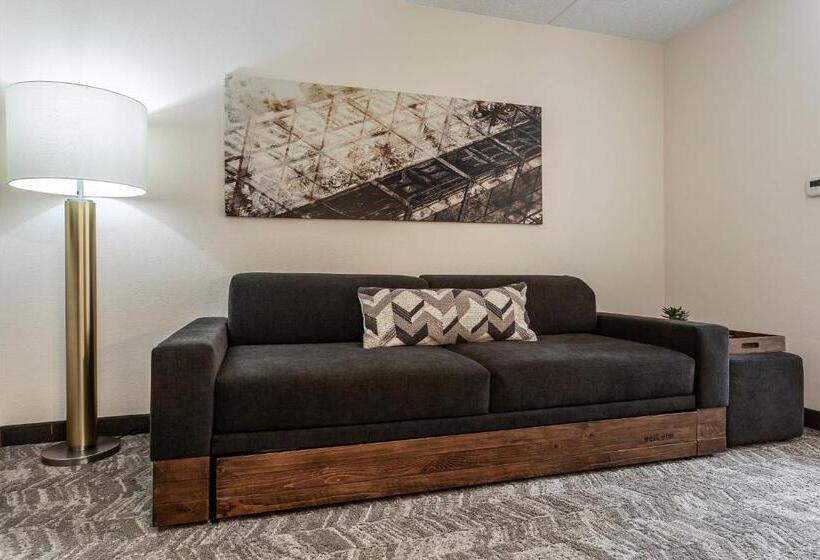 ホテル Springhill Suites By Marriott Austin The Domain Area