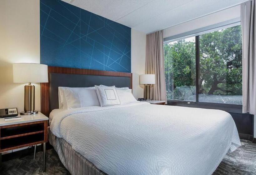 호텔 Springhill Suites By Marriott Austin The Domain Area