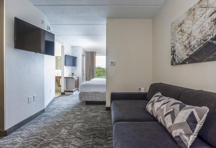 ホテル Springhill Suites By Marriott Austin The Domain Area