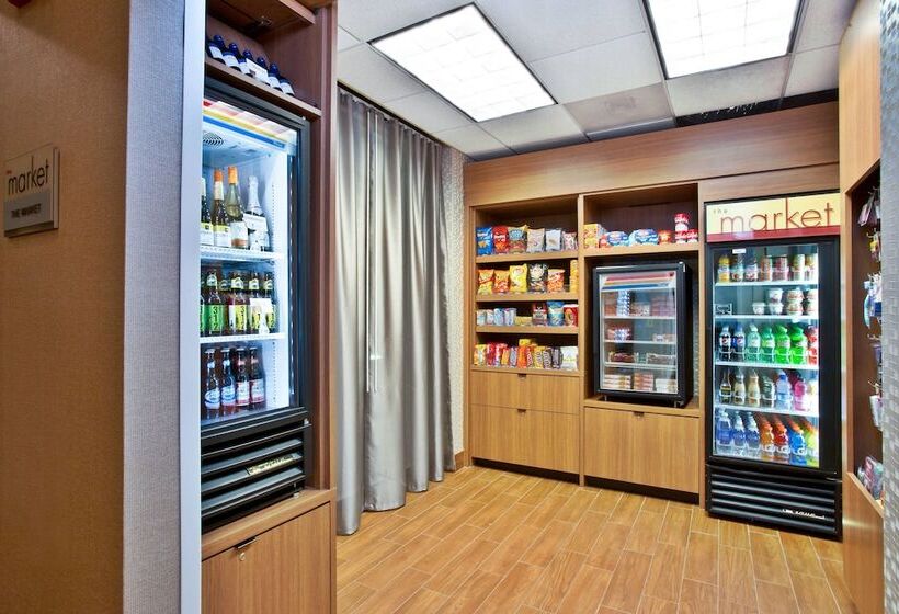 בית מלון כפרי Springhill Suites By Marriott Chicago Southwest At Burr Ridge Hinsdale