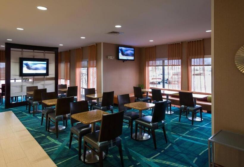 فندق Springhill Suites By Marriott Chicago Bolingbrook