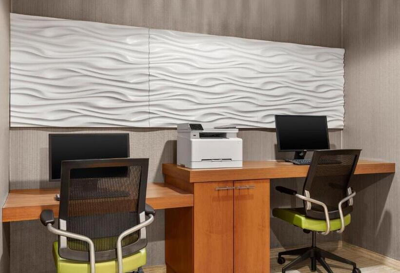 فندق Springhill Suites By Marriott Chicago Bolingbrook