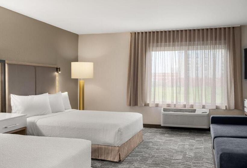 فندق Springhill Suites By Marriott Chicago Bolingbrook