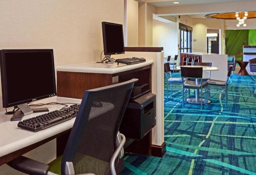 Отель Springhill Suites By Marriott Chicago Schaumburg/woodfield Mall