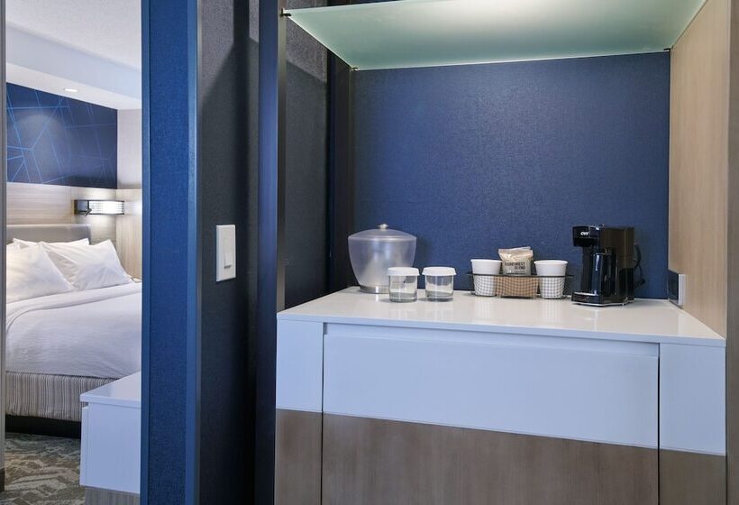 فندق Springhill Suites Detroit Southfield