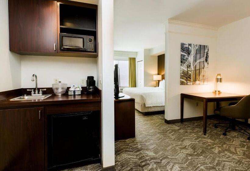 酒店 Springhill Suites Florence