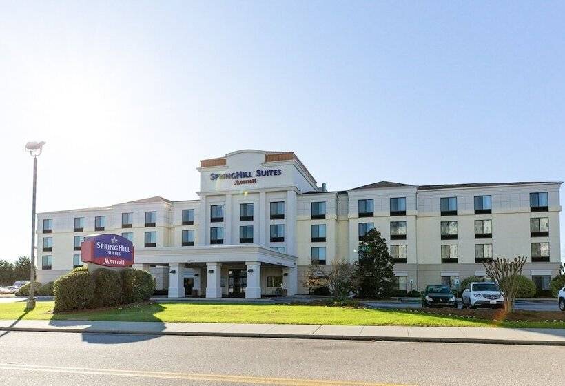 酒店 Springhill Suites Florence