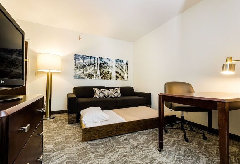 酒店 Springhill Suites Florence