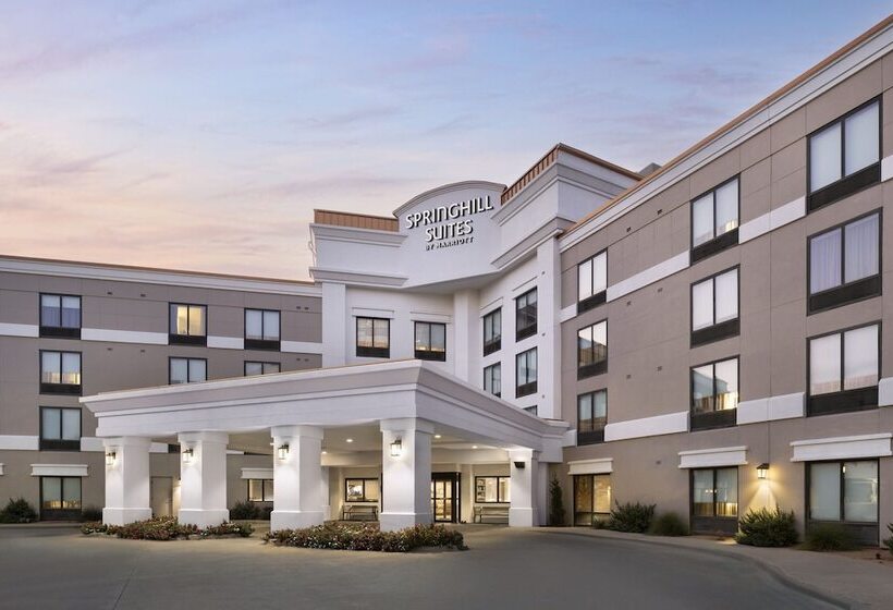 酒店 Springhill Suites Fort Worth University