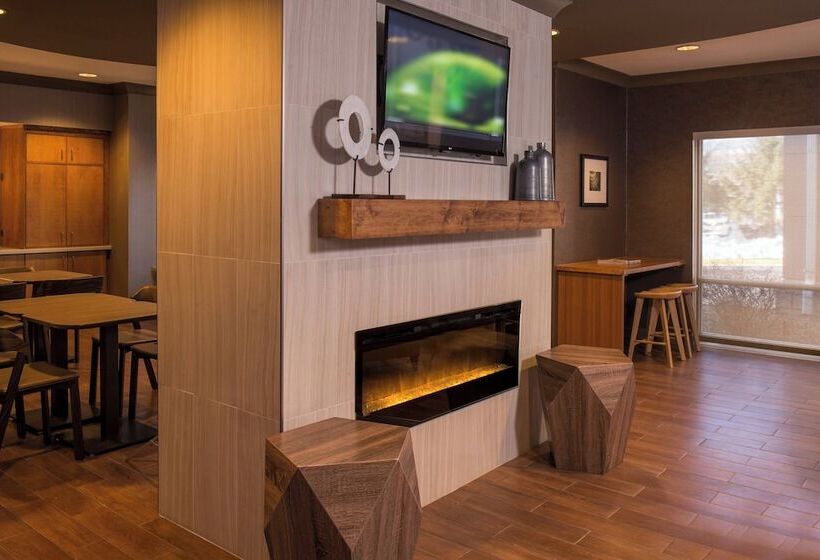 בית מלון כפרי Springhill Suites Herndon Reston