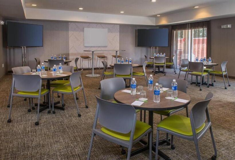 בית מלון כפרי Springhill Suites Herndon Reston