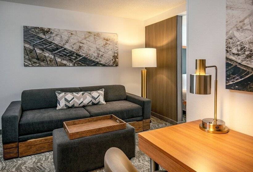 ホテル Springhill Suites By Marriott Hershey Near The Park