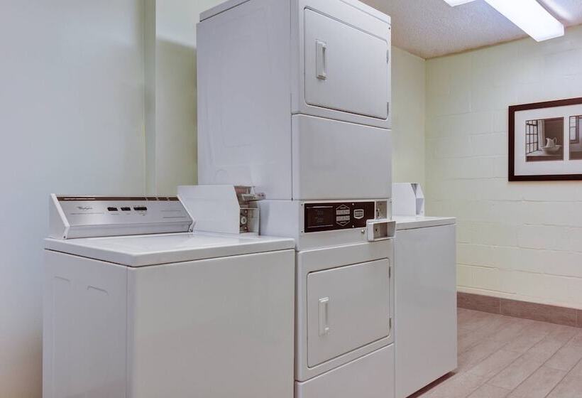 호텔 Springhill Suites Jacksonville