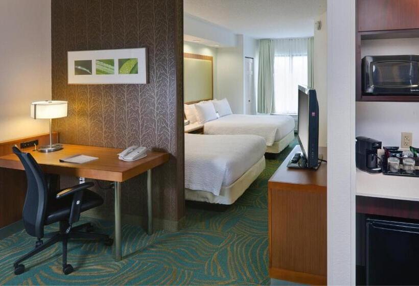 فندق Springhill Suites By Marriott Lansing