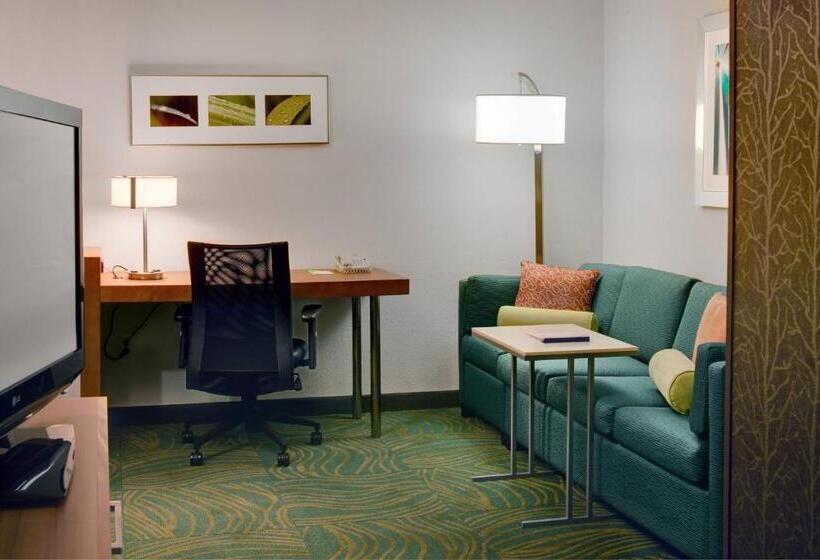 فندق Springhill Suites By Marriott Lansing