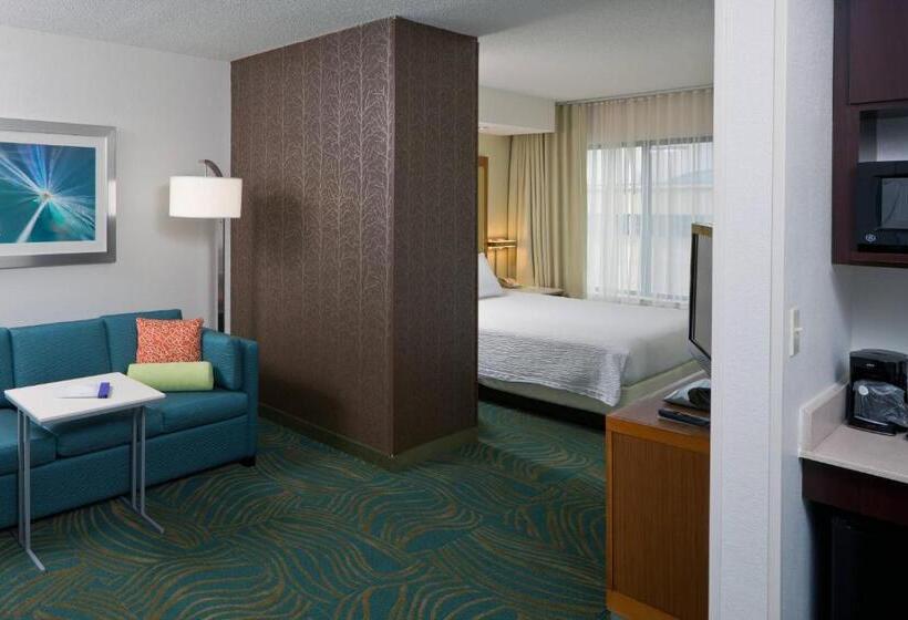 فندق Springhill Suites By Marriott Lansing