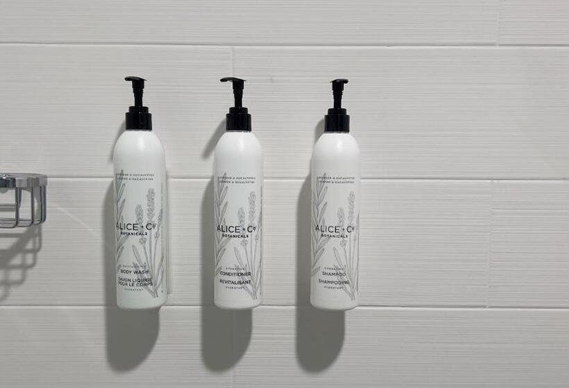 فندق Springhill Suites By Marriott Lansing