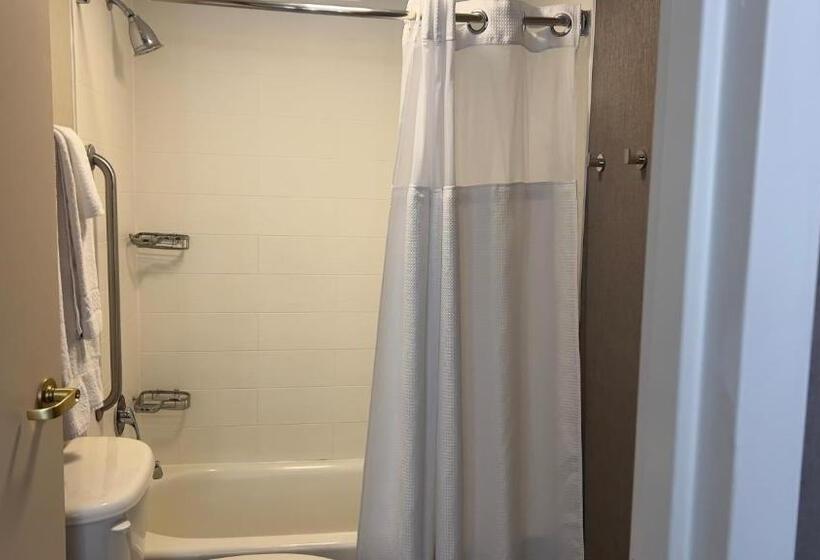 فندق Springhill Suites By Marriott Lansing