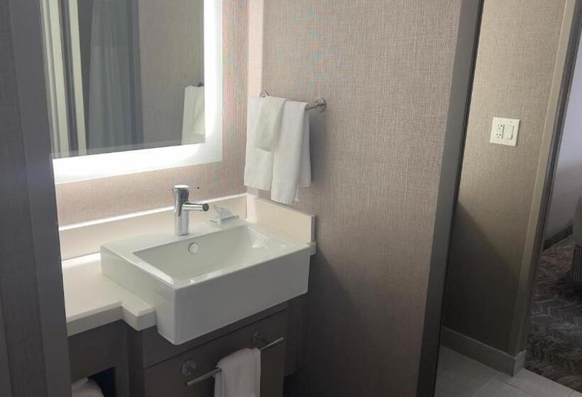 فندق Springhill Suites By Marriott Lansing