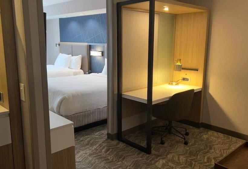 فندق Springhill Suites By Marriott Lansing