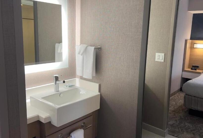 فندق Springhill Suites By Marriott Lansing