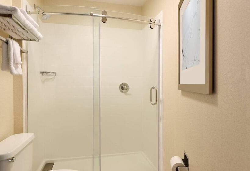 호텔 Springhill Suites By Marriott Little Rock