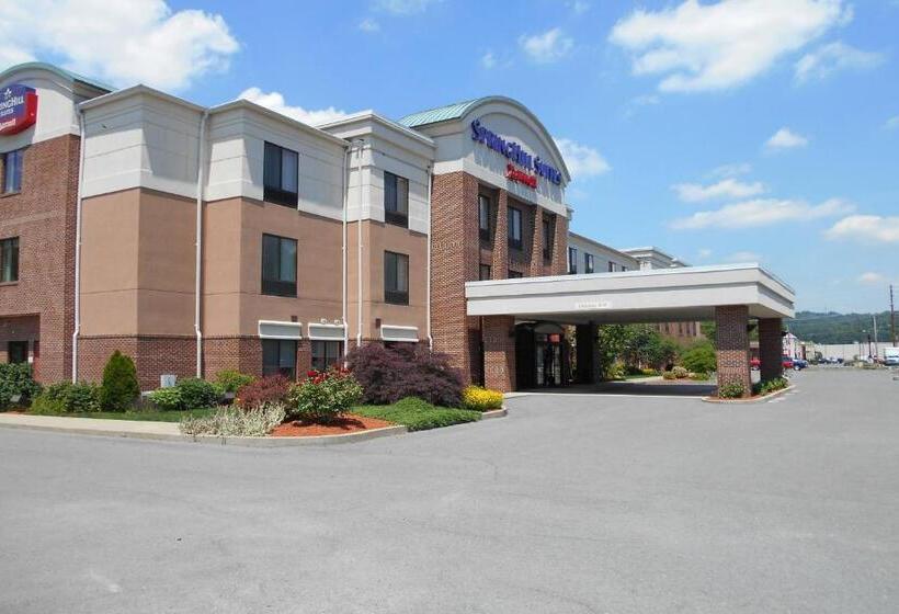 فندق Springhill Suites Morgantown