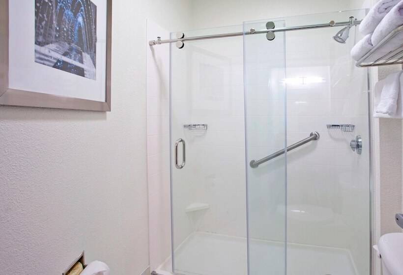 هتل Springhill Suites Nashville Metrocenter