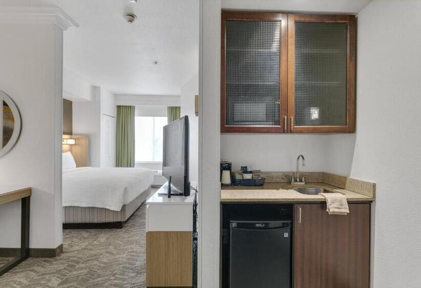 Отель Springhill Suites By Marriott Sacramento Natomas