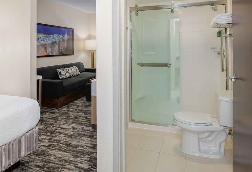 酒店 Springhill Suites Seattle Downtown, South Lake Union