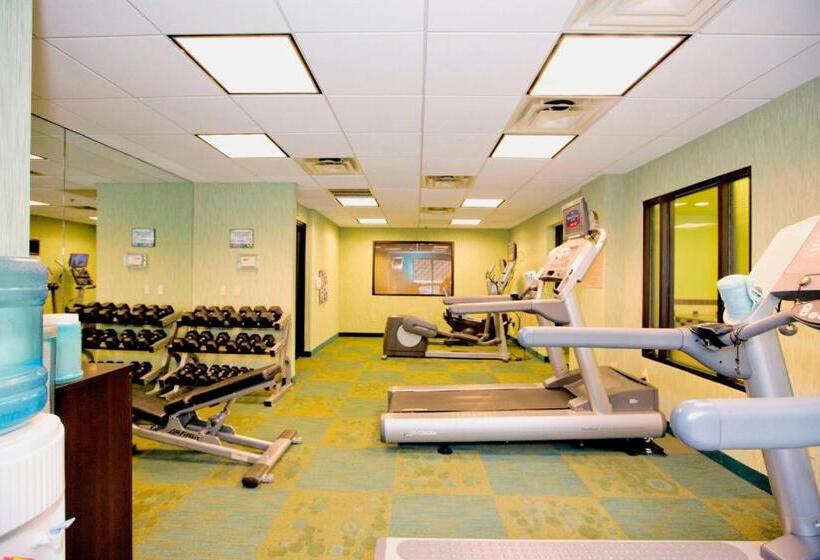 בית מלון כפרי Springhill Suites West Mifflin